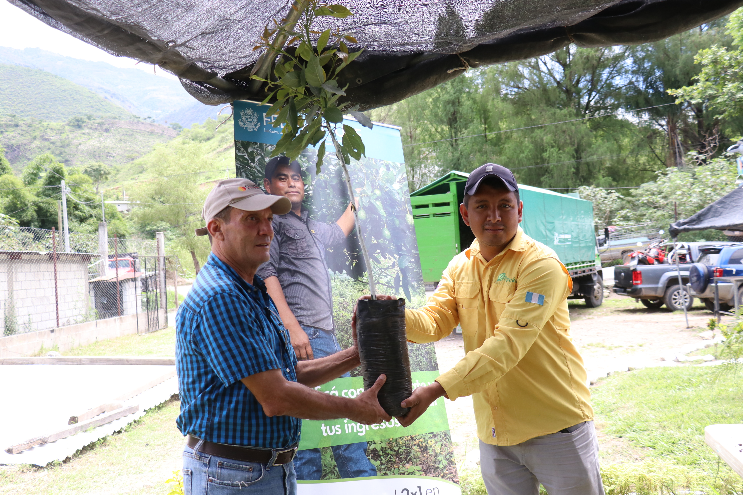 Productores diversifican cultivos y agregan aguacate de exportación a sus parceles