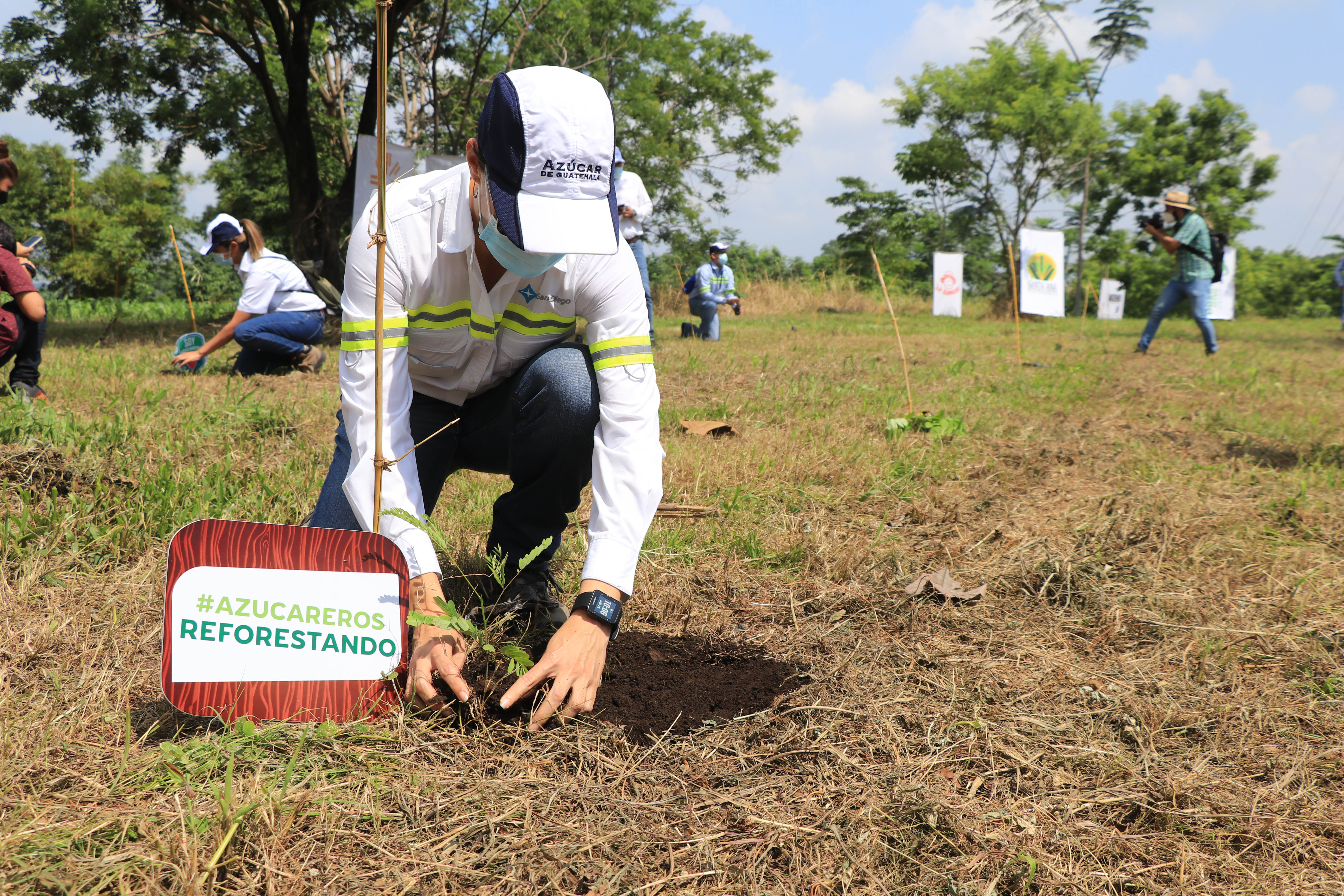 Más de 900 mil árboles serán plantados a través del plan de reforestación impulsado por Asazgua