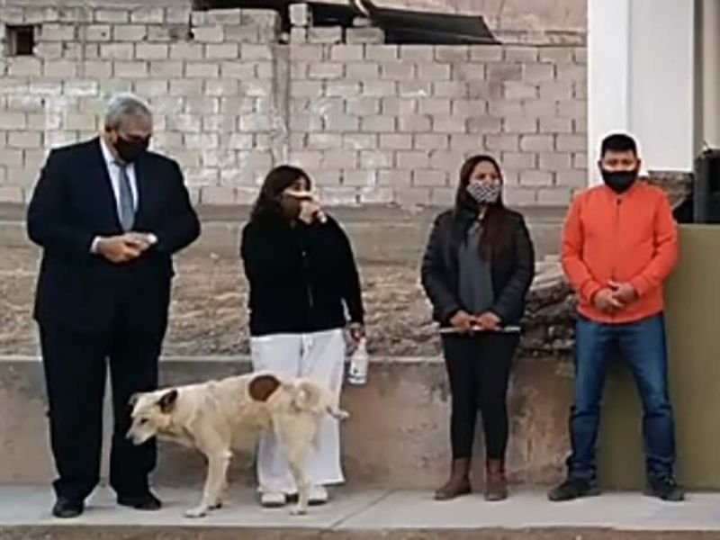 VIDEO: Perro se viraliza por orinar a una funcionaria argentina en pleno evento público