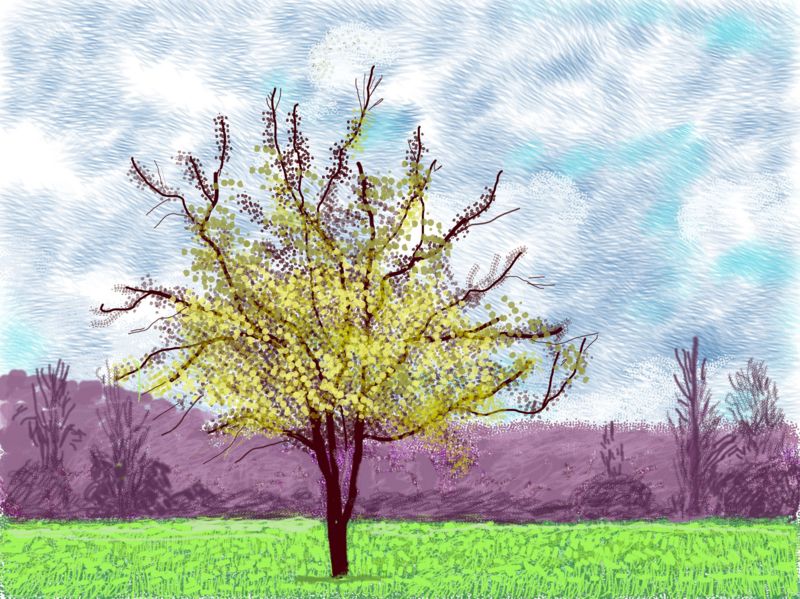 La llegada de la primavera: las imágenes de optimismo y color del artista David Hockney hechas con un iPad