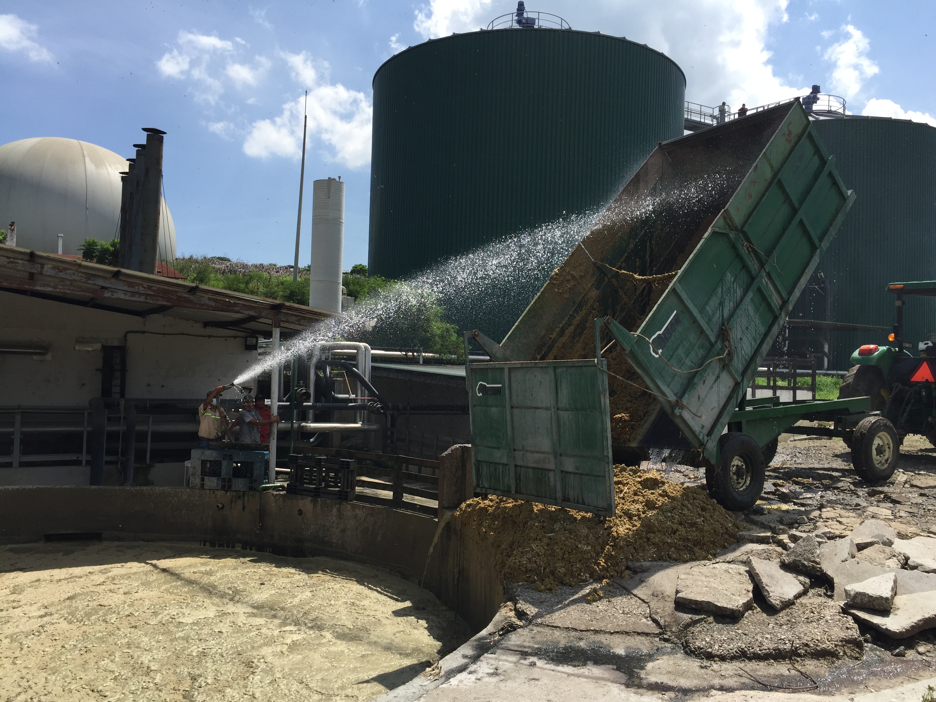 Proceso de biodigestión para generar energía