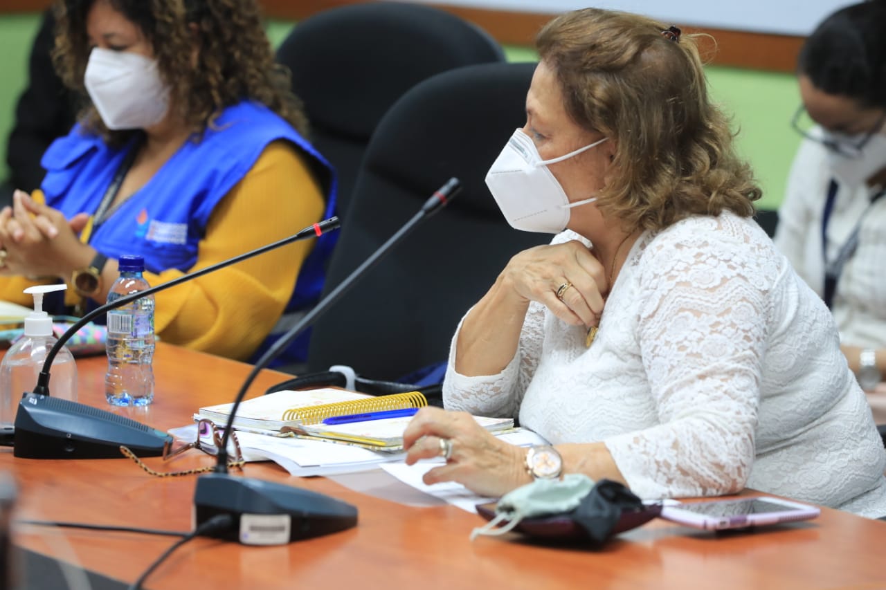 La viceministra Pezzarossi acude al Congreso
