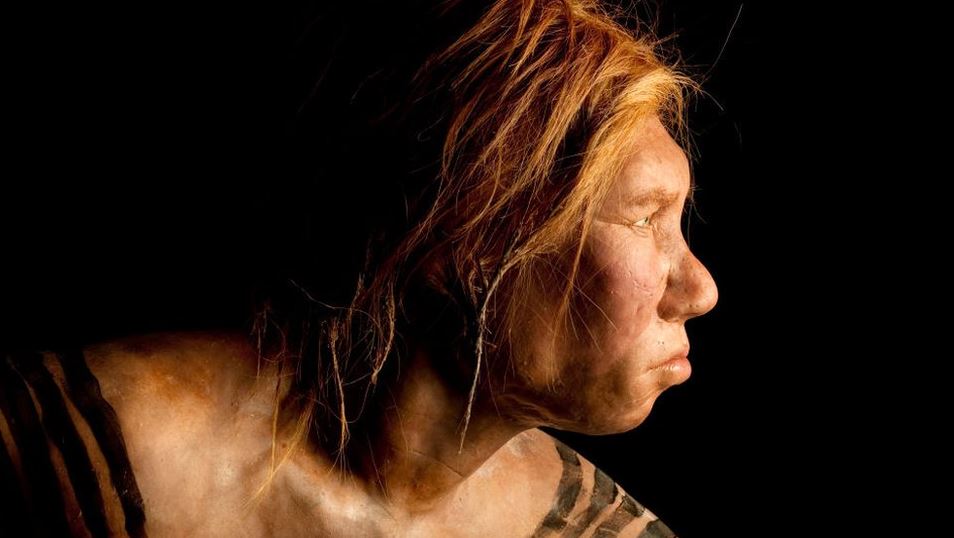 Cómo nuestra huella genética neandertal influye en el sueño, el humor y en la respuesta a la covid-19