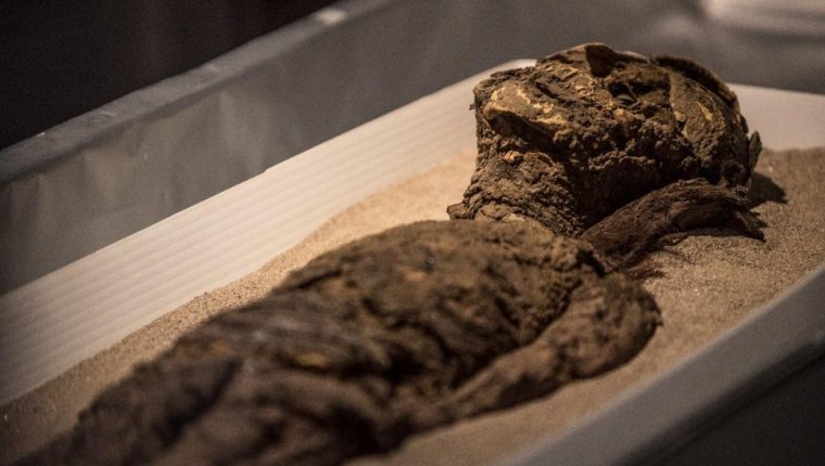 La fascinante historia de la “cultura chinchorro” que logró momificar a sus muertos más de dos mil años antes que los egipcios