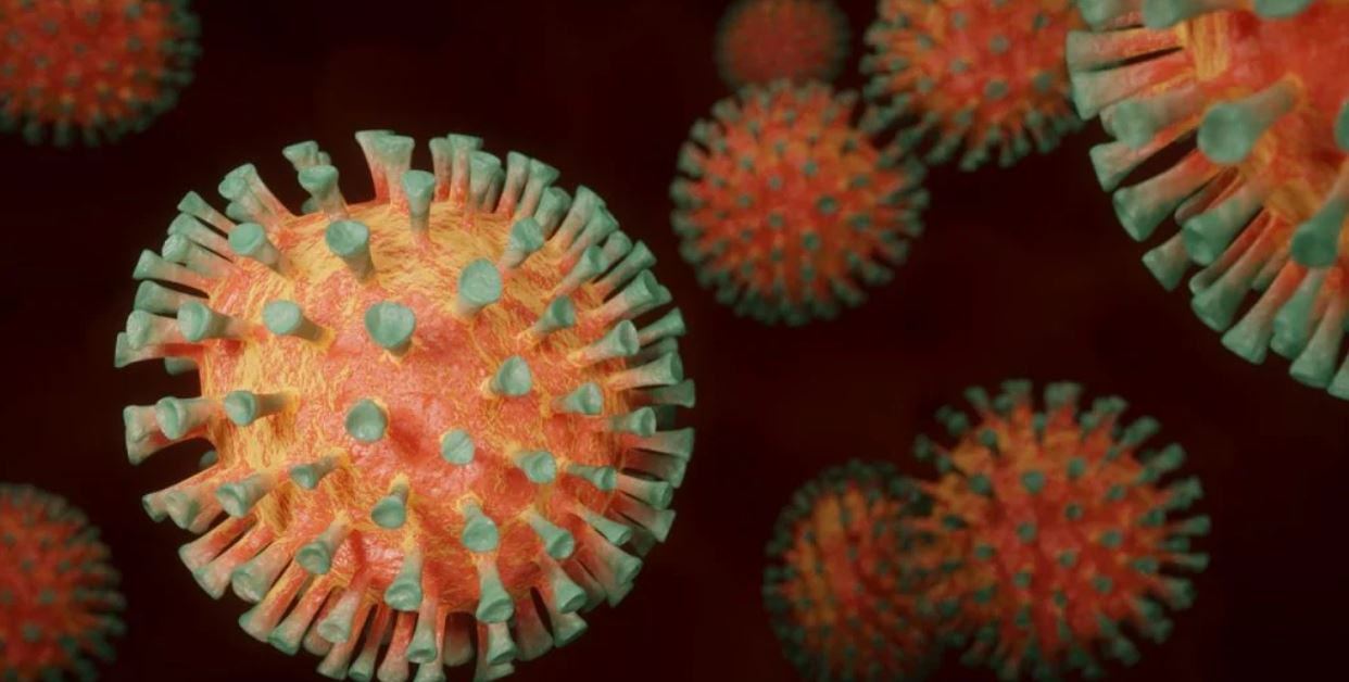 Estudio señala que anticuerpos del covid-19 persisten 9 meses tras infección