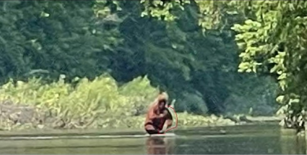 Video: Hombre asegura que grabó a “Pie Grande” en un río en Estados Unidos y las imágenes se viralizan