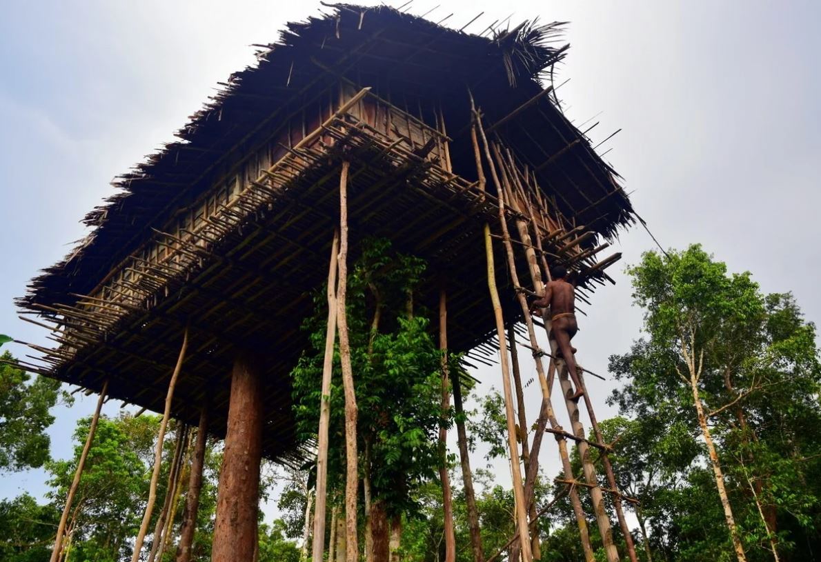 La vida de la tribu korowai y las prácticas de canibalismo