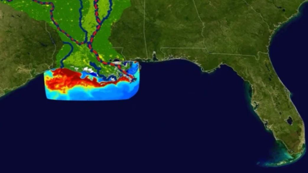 “Zona muerta” del Golfo de México: la preocupante expansión de esta área en la que la vida marina es imposible