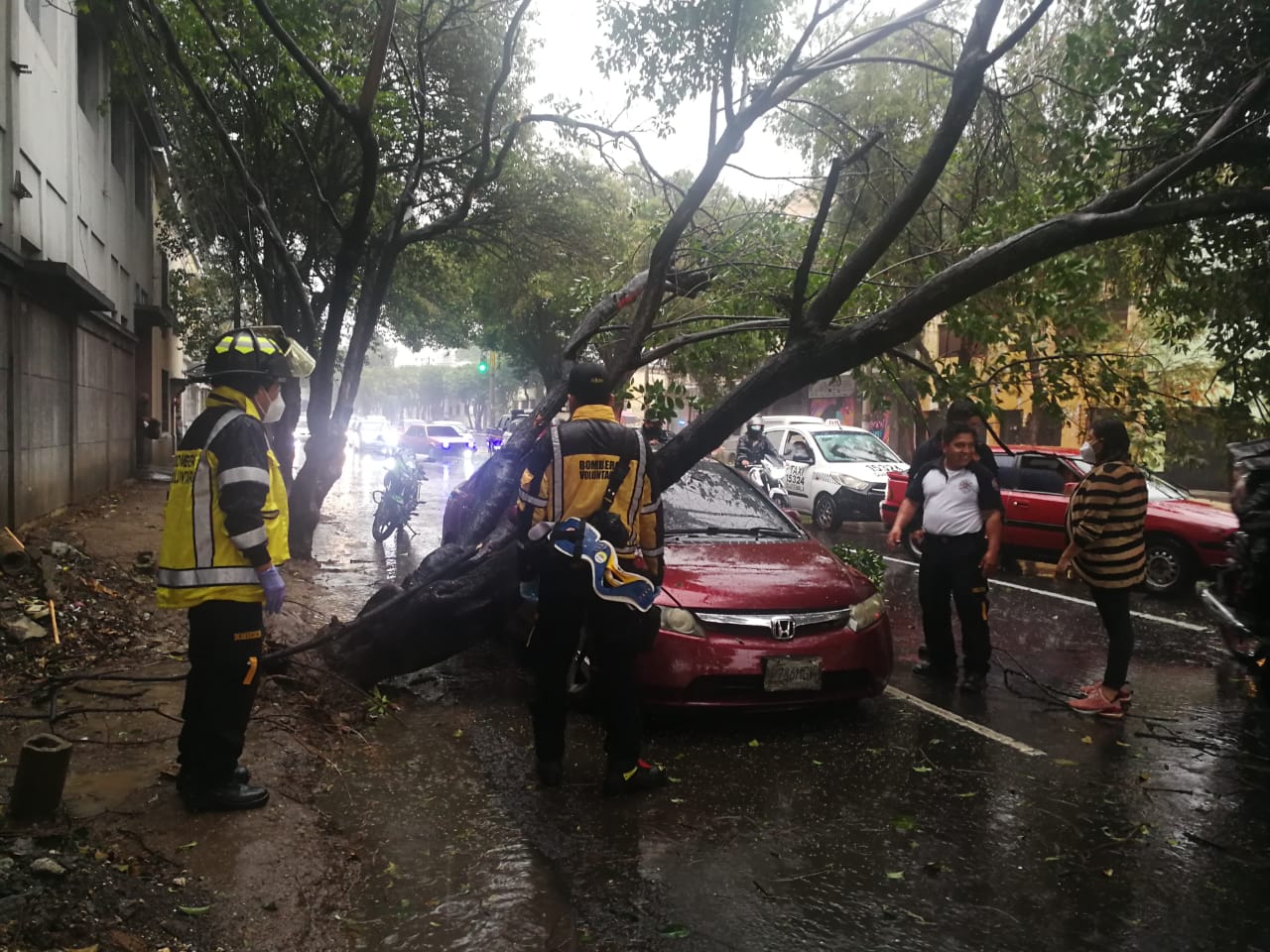 Lluvia y ventarrones: árbol cae sobre vehículo en la zona 3 capitalina