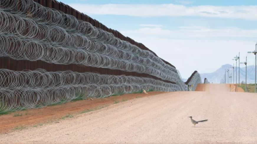 La imagen de un “correcaminos” en el muro fronterizo entre EE. UU. y México gana prestigioso concurso de fotografía