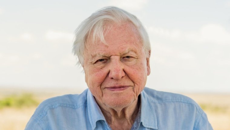 Cambio climático: la advertencia de David Attenborough antes de que sea “demasiado tarde” para salvar al planeta