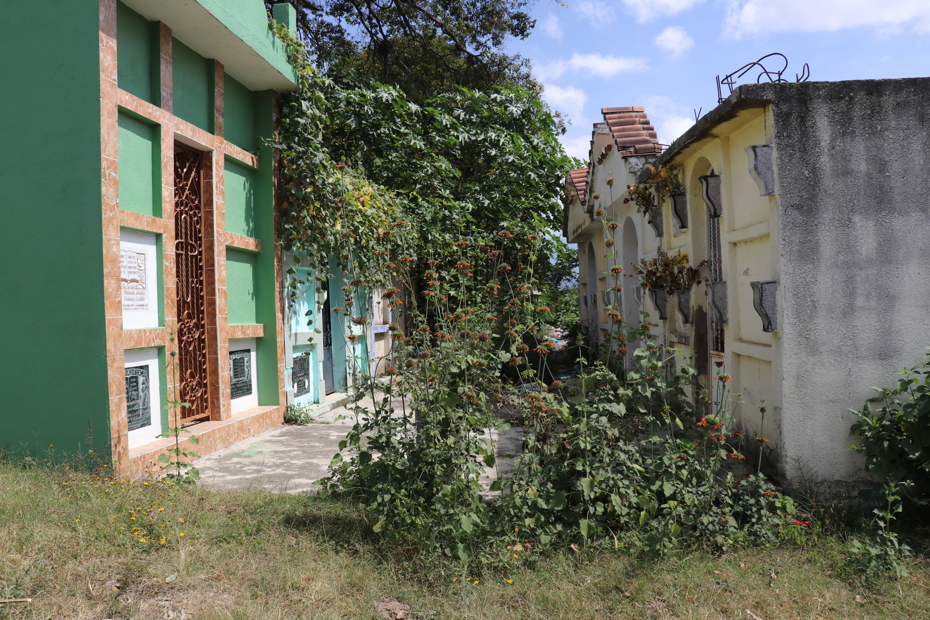 VIDEO | Municipalidad de Huehuetenango da marcha atrás en permitir ingreso a cementerios