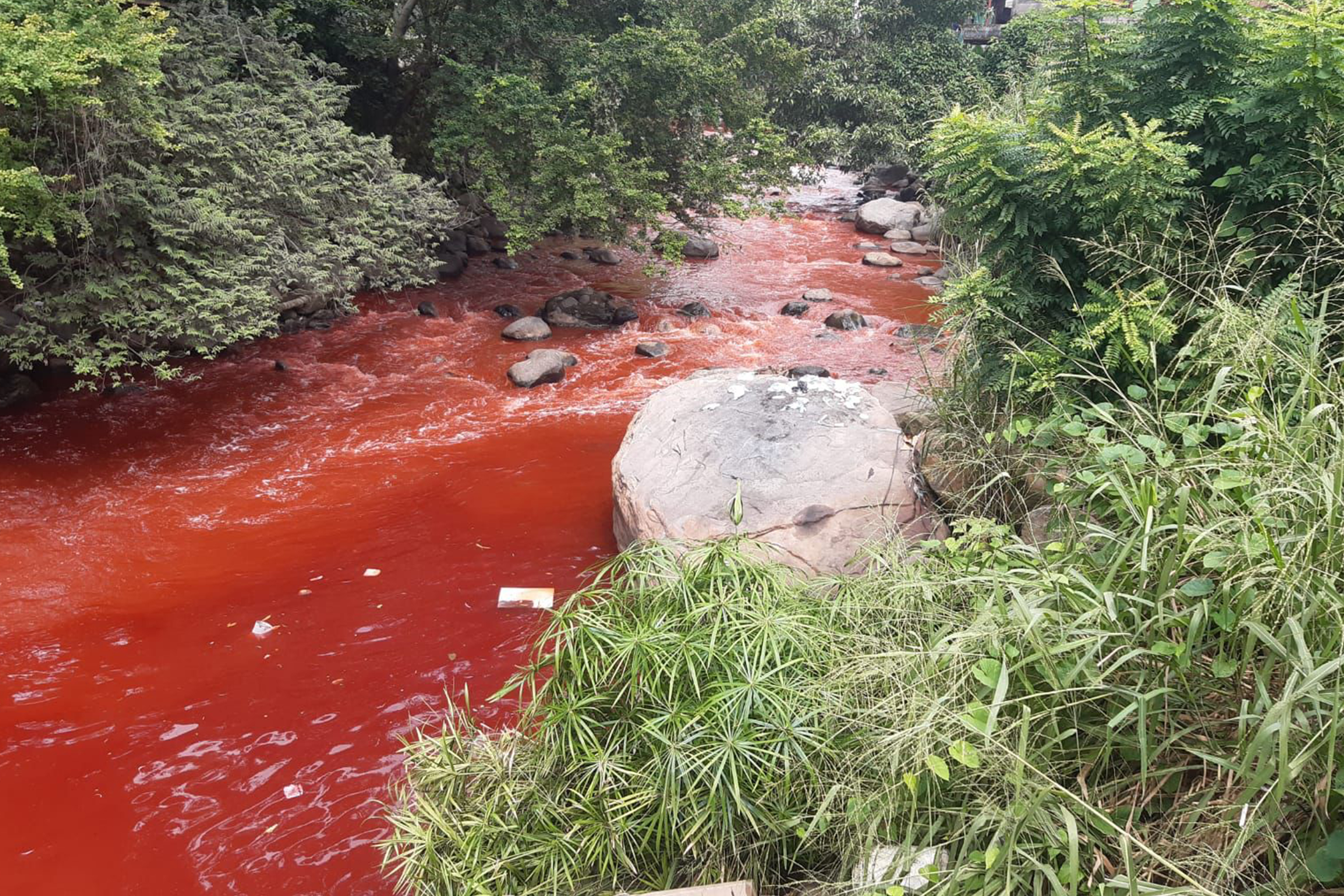 VIDEO | Río Cusmajate en Escuintla se tiñe de rojo; vecinos esperan que autoridades den con responsables