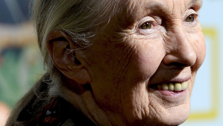 Medio ambiente: por qué Jane Goodall cree que aún hay esperanza ante el cambio climático
