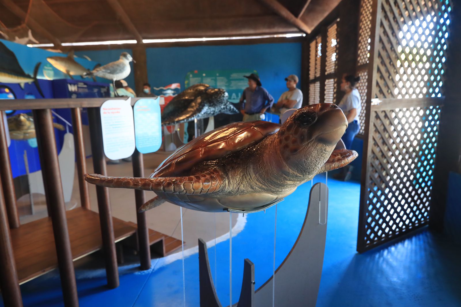 Inauguran el Museo del Mar, un espacio para promover la conservación y biodiversidad de las costas del Pacífico