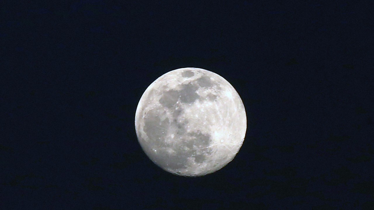 Qué es y cuándo ver la “Luna del Lobo” y por qué se llama así