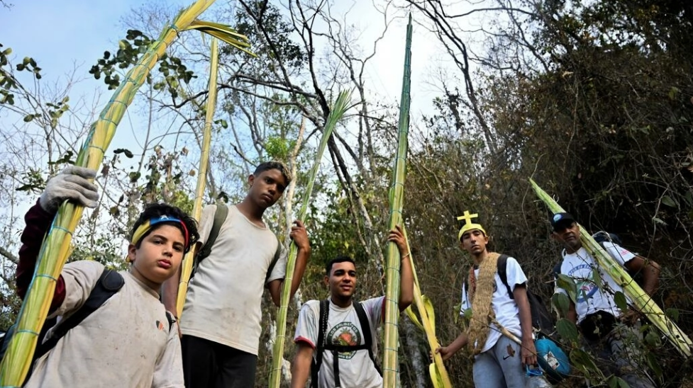La tradición de los “palmeros” venezolanos, que bajan de la montaña para el Domingo de Ramos