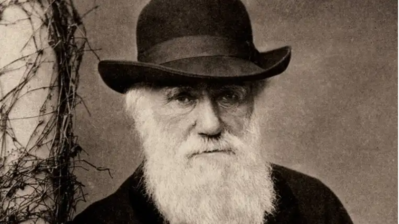 Charles Darwin Teoría de la Evolución
