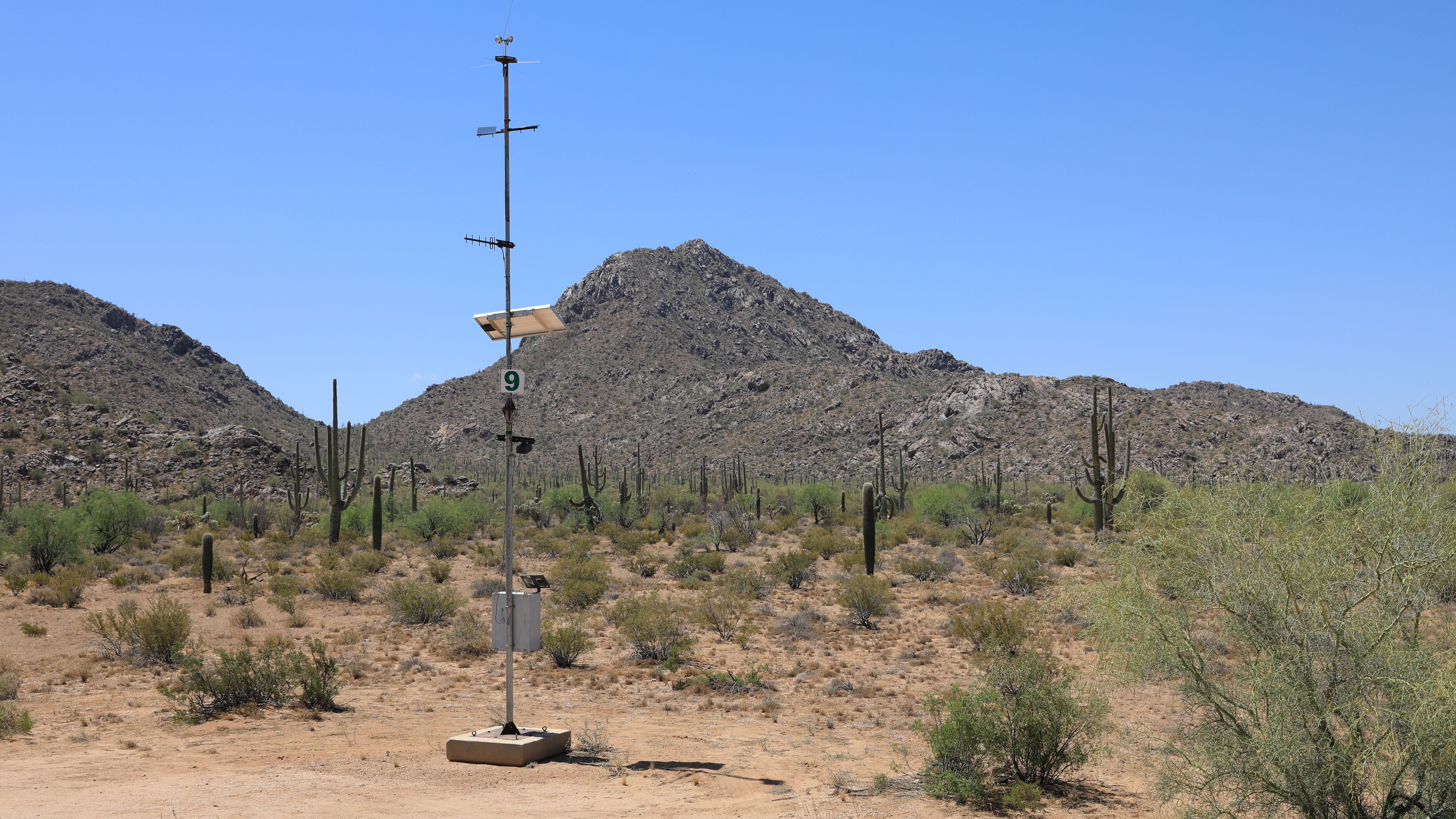 Migrantes guatemaltecos se rinden ante el sofocante calor del desierto de Arizona y piden ayuda al 911