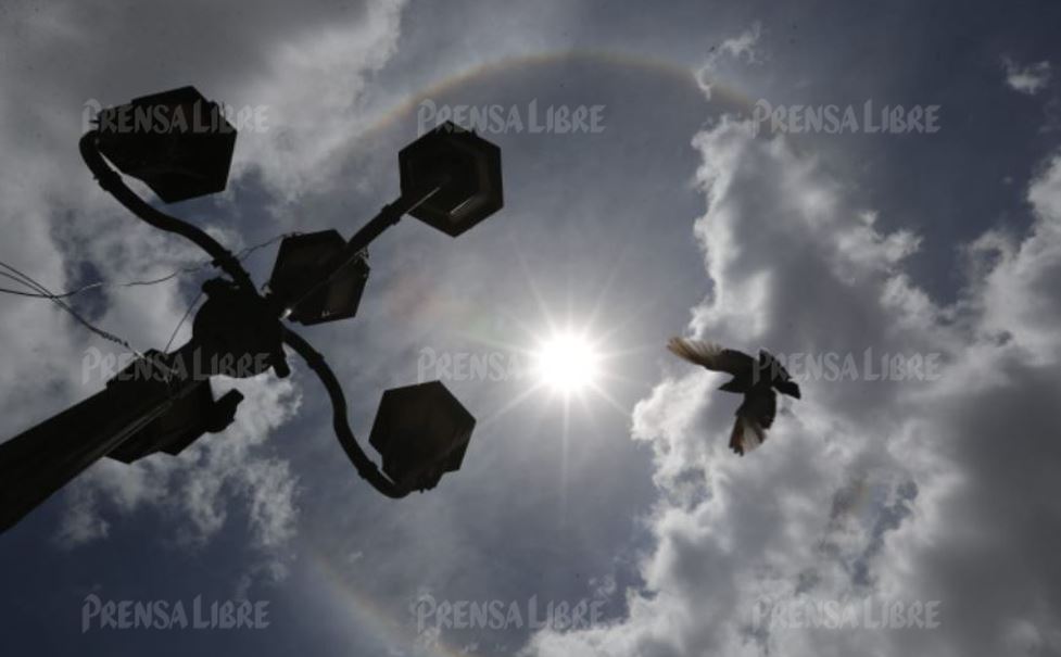 HALO SOLAR