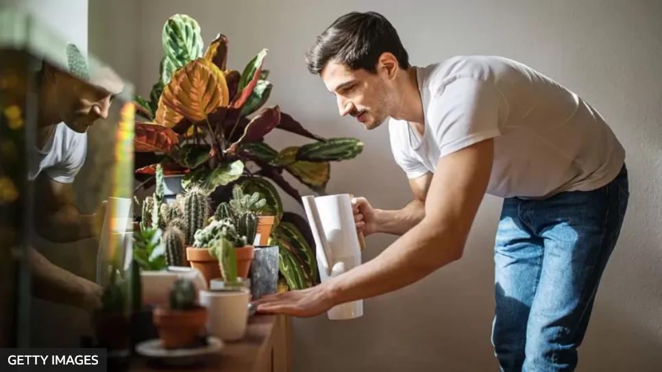 Por qué pequeñas tareas como regar las plantas o doblar la ropa son tan terapéuticas