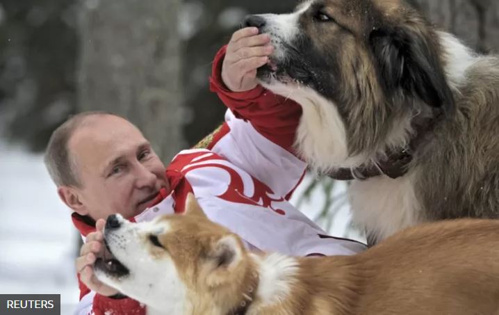 Imágenes como esta del presidente Putin jugando con perros en la nieve son compartidas en grupos de Facebook.