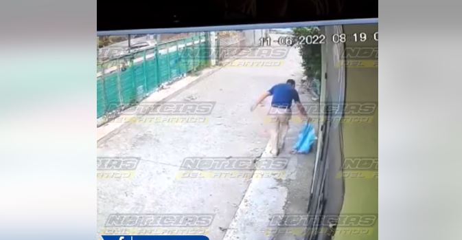 Cámara capta el momento en que un hombre abandona a varios gatos en la vía pública