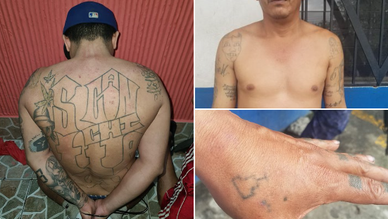Pandillas en El Salvador: objetos para ritos satánicos, armas, drogas y carne de animales exóticos en campamentos clandestinos