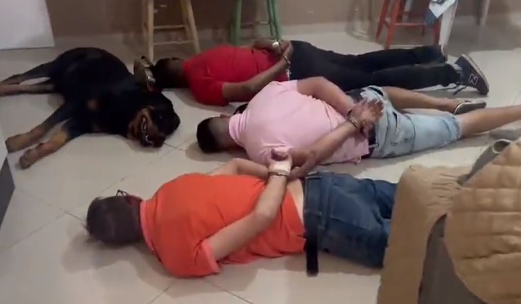 Video: un perro se rinde junto a sus dueños mientras estos son capturados por la Policía en Brasil