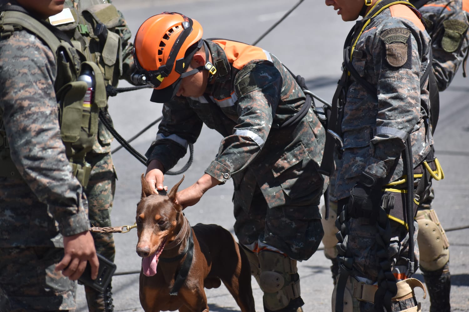 Blacky, el perro que utiliza el Ejército para la búsqueda de personas desaparecidas en el socavón de Villa Nueva