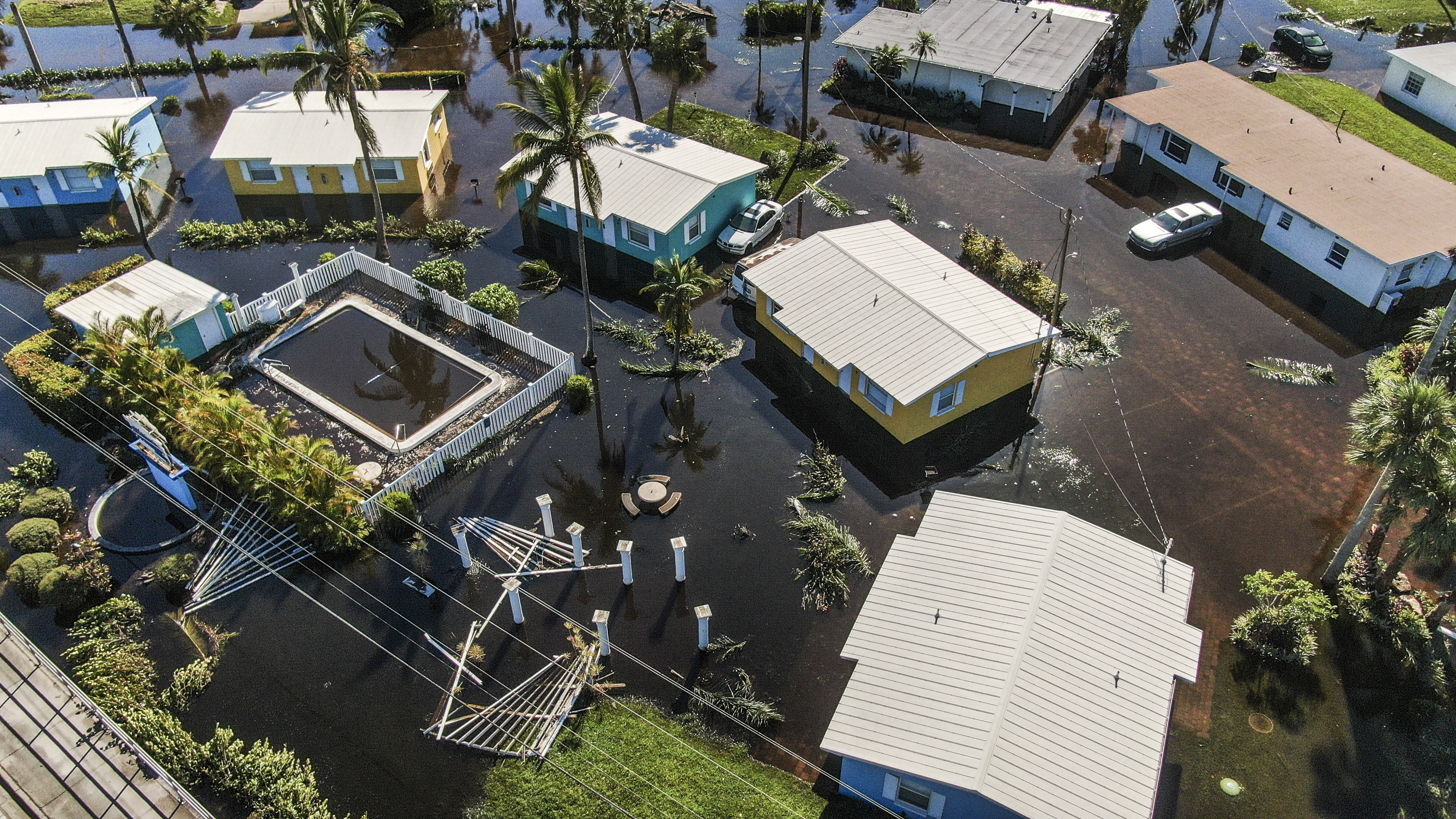 Alertan sobre posibles encuentros con animales salvajes en áreas impactadas por el huracán Ian