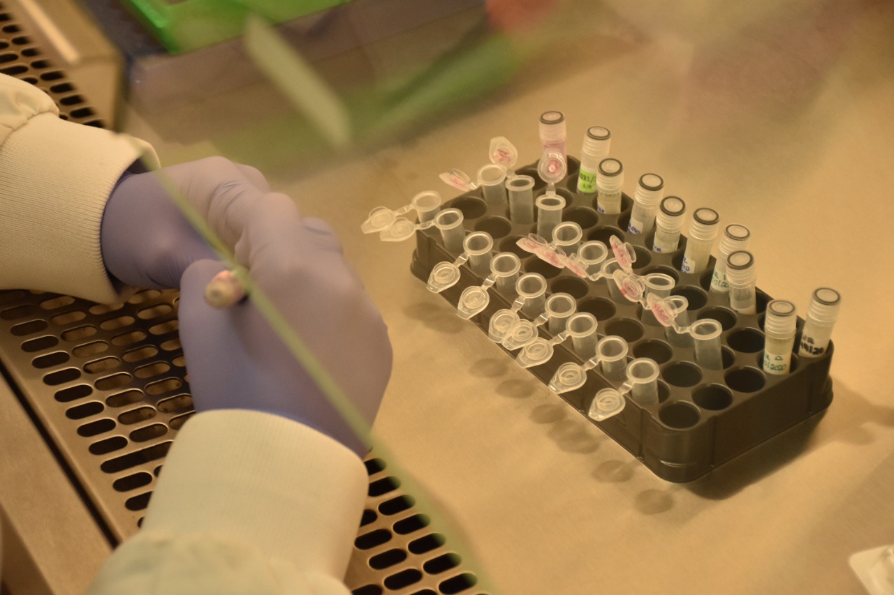 Salud confirma 14 casos más de viruela de mono y reitera prevenciones