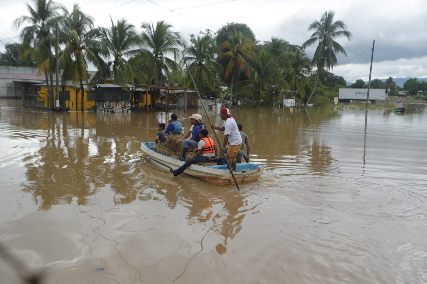 Depresión tropical Julia: las imágenes que muestran los daños en departamentos afectados por ciclón