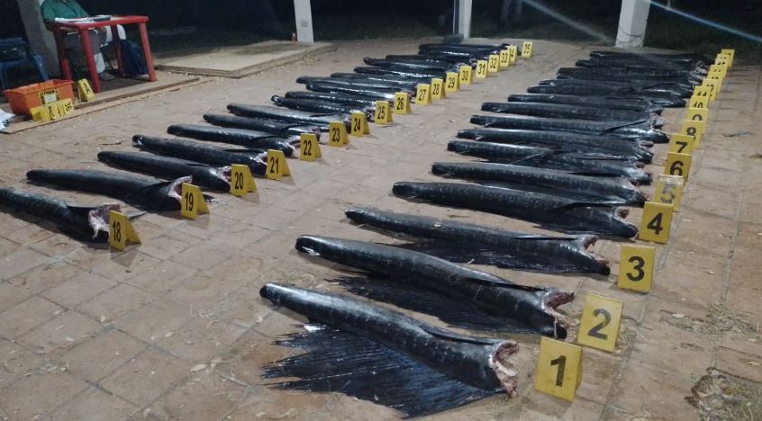 Autoridades capturan a seis personas por pesca ilegal y revelan lo que transportaban en sus botes