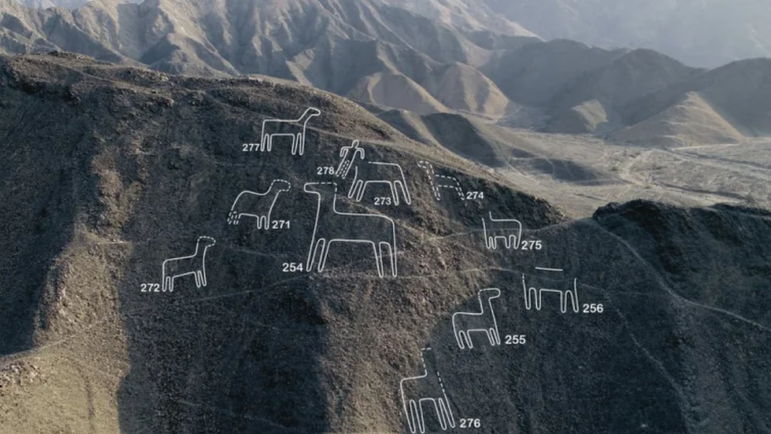 NAZCA. BBC