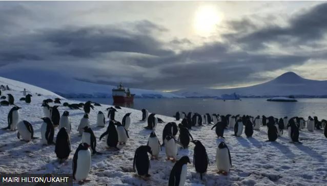 Rodeadas de pingüinos e icebergs: la Navidad en la oficina de correos del fin del mundo