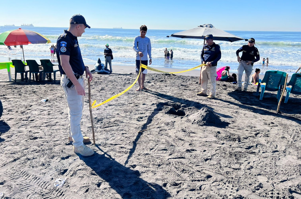 SERPIENTE AMARILLA EN PLAYA DE ESCUINTLA