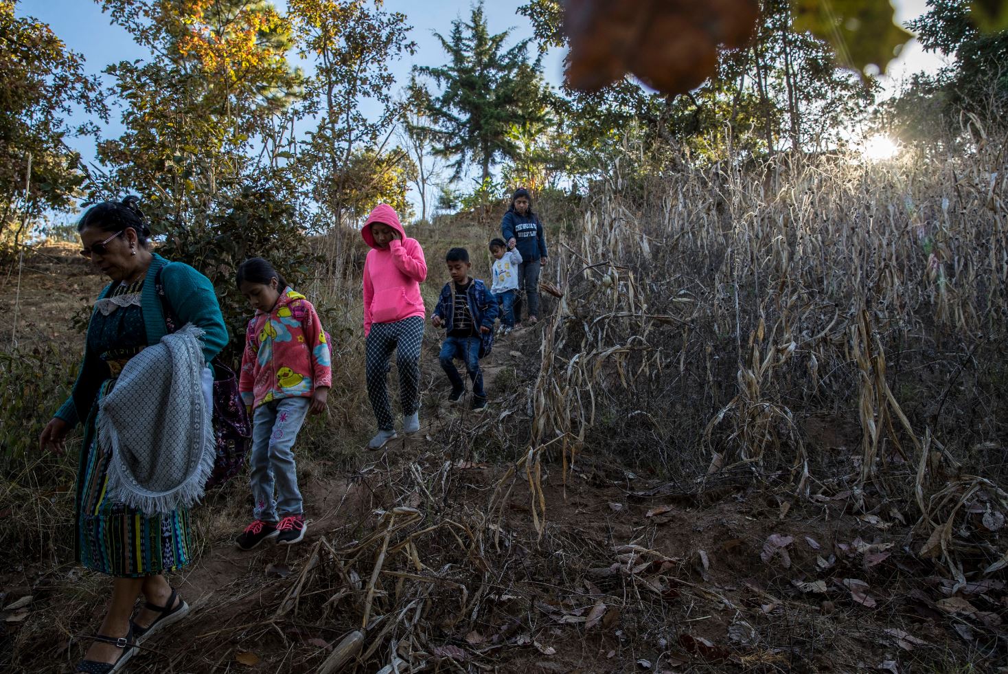 Deserción escolar y otras dificultades de los niños indígenas de Guatemala para el regreso a clases