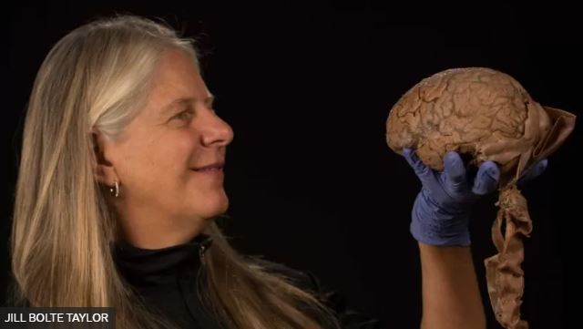 La asombrosa historia de la científica que por un derrame cerebral que la paralizó temporalmente hizo un gran descubrimiento