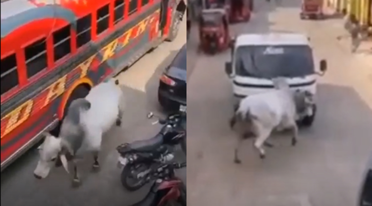 Video: toro causa terror en la vía pública de Cuilapa