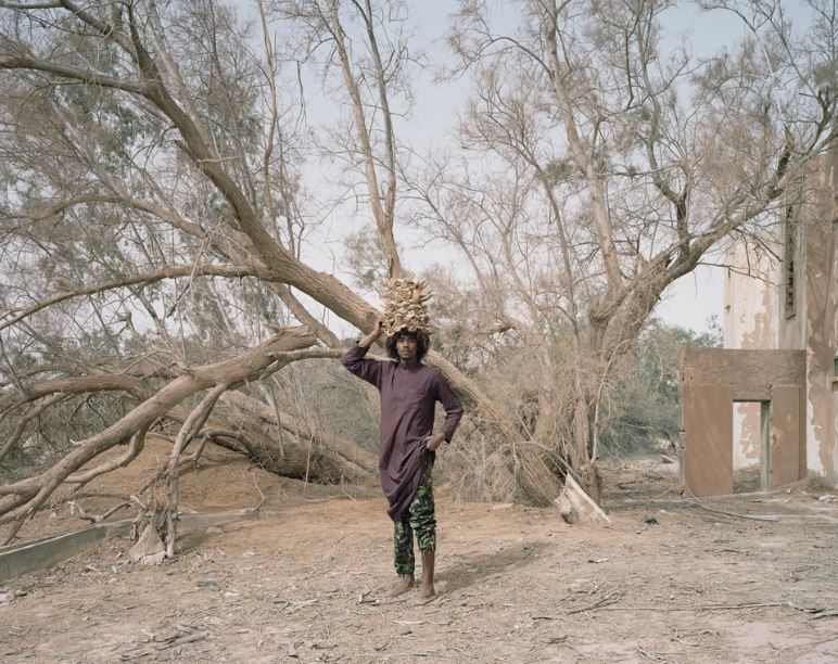 Sony World Photography Awards 2023: las imágenes ganadoras de los reconocidos premios de fotografía