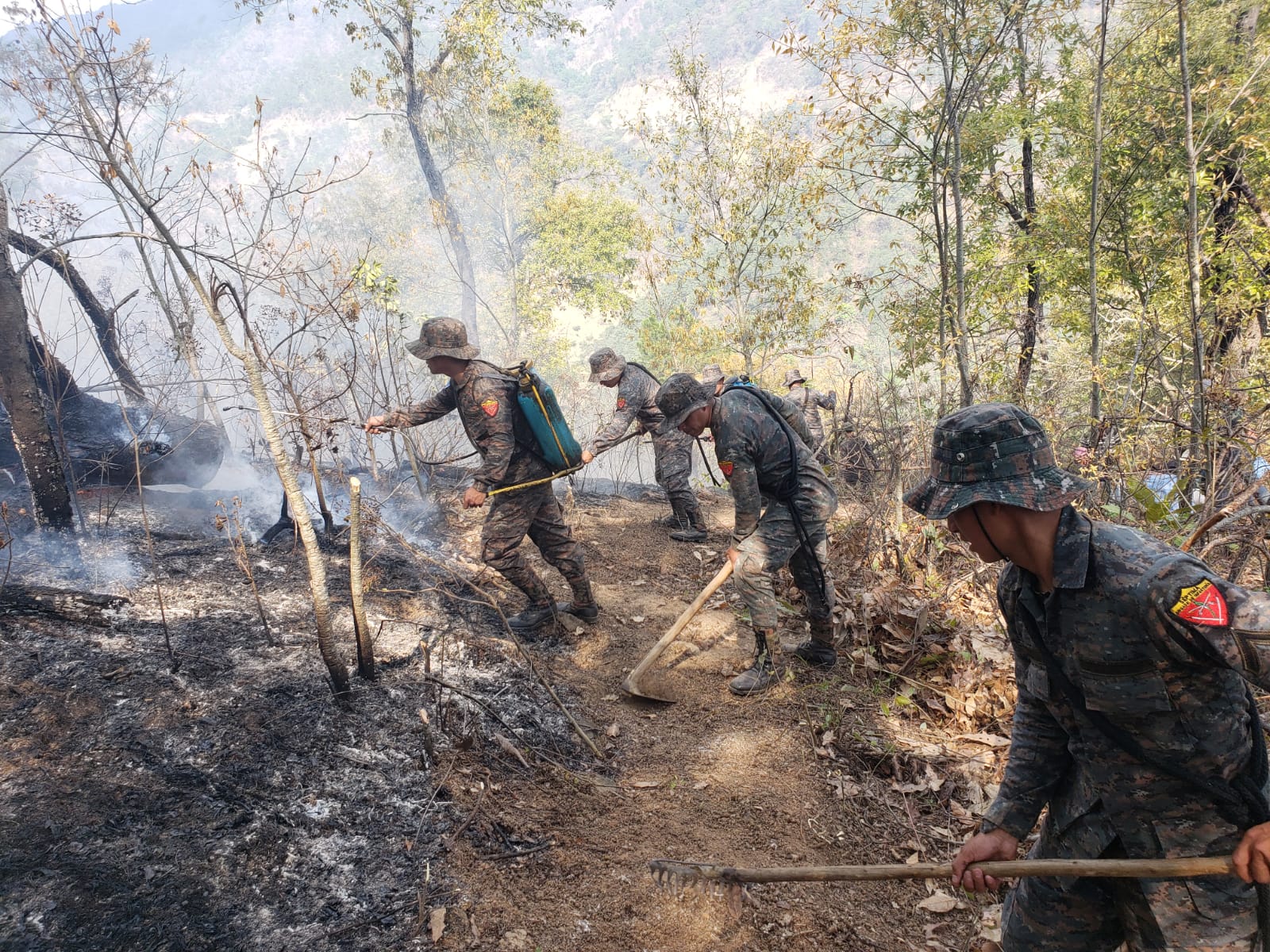 Incendios forestales arrasan decenas de hectáreas de bosque en Petén