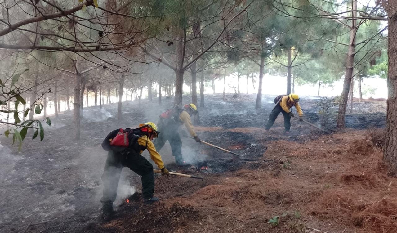 Quiché, Huehuetenango y Petén son los departamentos más afectados por lo incendios forestales