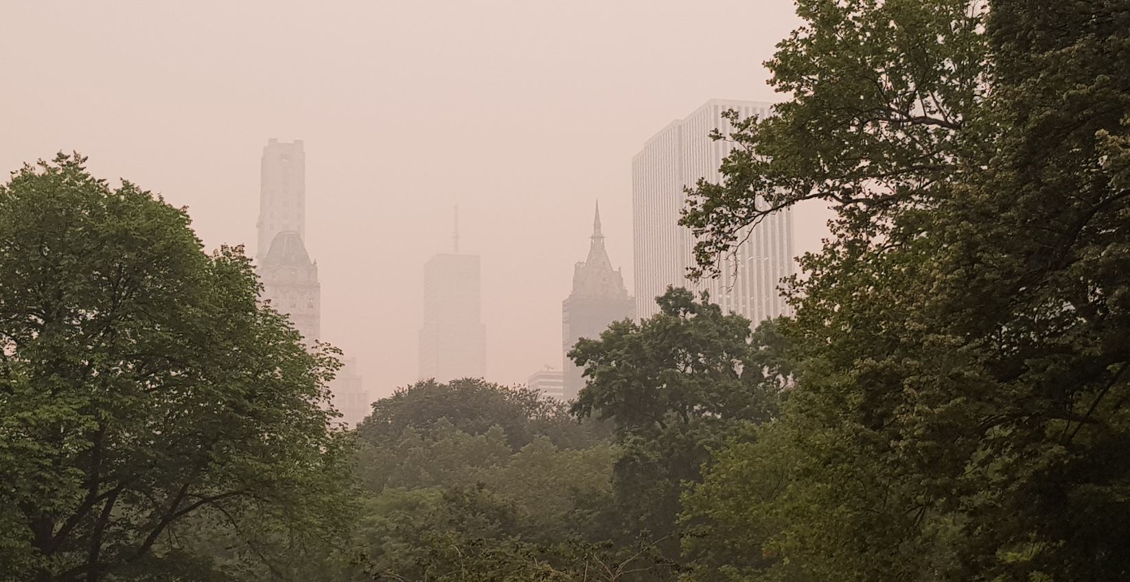 INCENDIOS DE CANADÁ AFECTAN NUEVA YORK