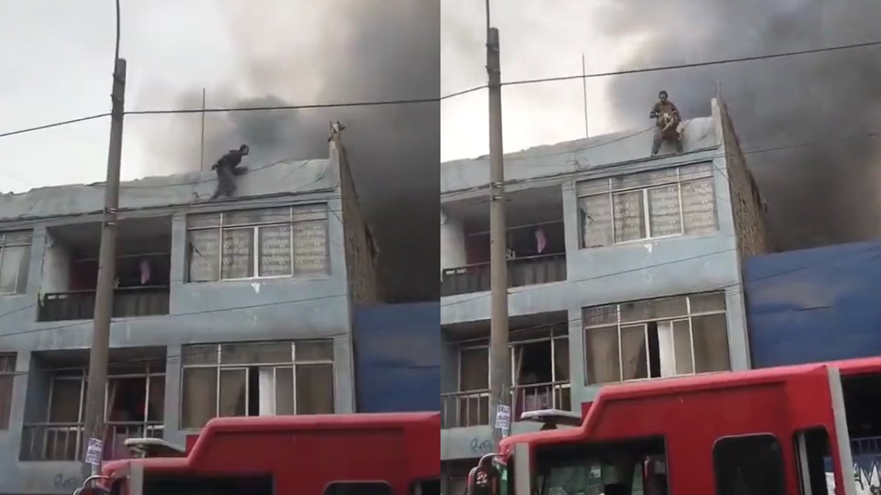 Un hombre colombiano rescató a 25 perros en un incendio