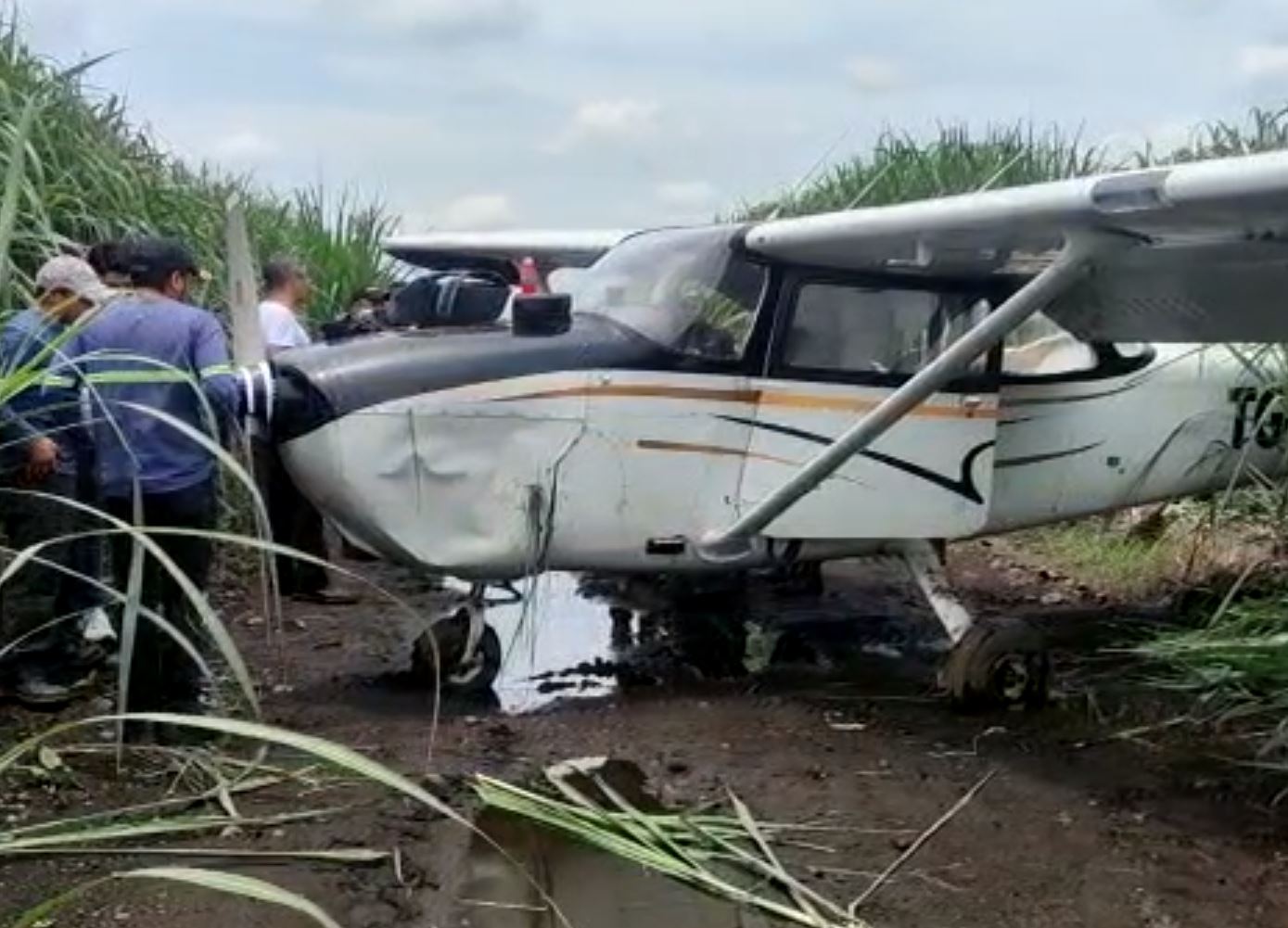 Avioneta hace aterrizaje forzoso en cañaverales de Masagua, Escuintla y esto se sabe del accidente aéreo