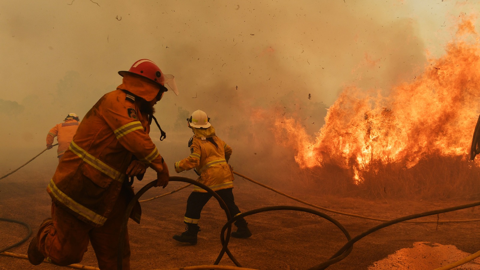 “Estamos ante un enorme experimento”: los impactos menos conocidos de los incendios (y cómo pueden cambiar el clima a largo plazo)