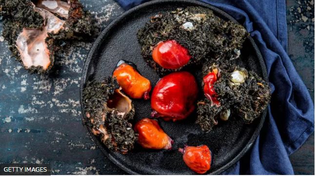 “Es como sumergirse en el mar con la boca bien abierta”: qué es el piure, el marisco “de otro mundo” que gana espacio en la alta cocina de Chile