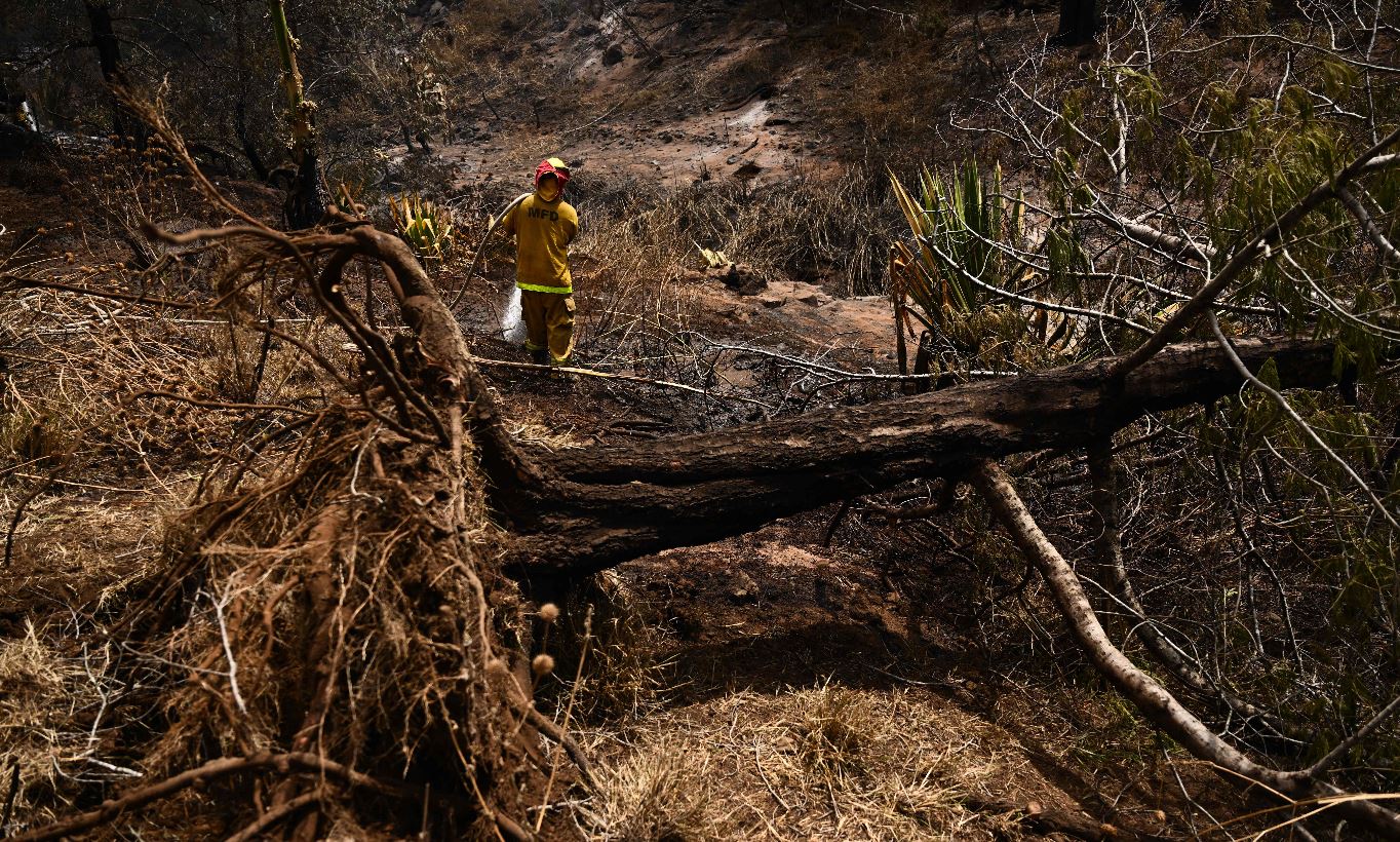 INCENDIOS EN Maui.