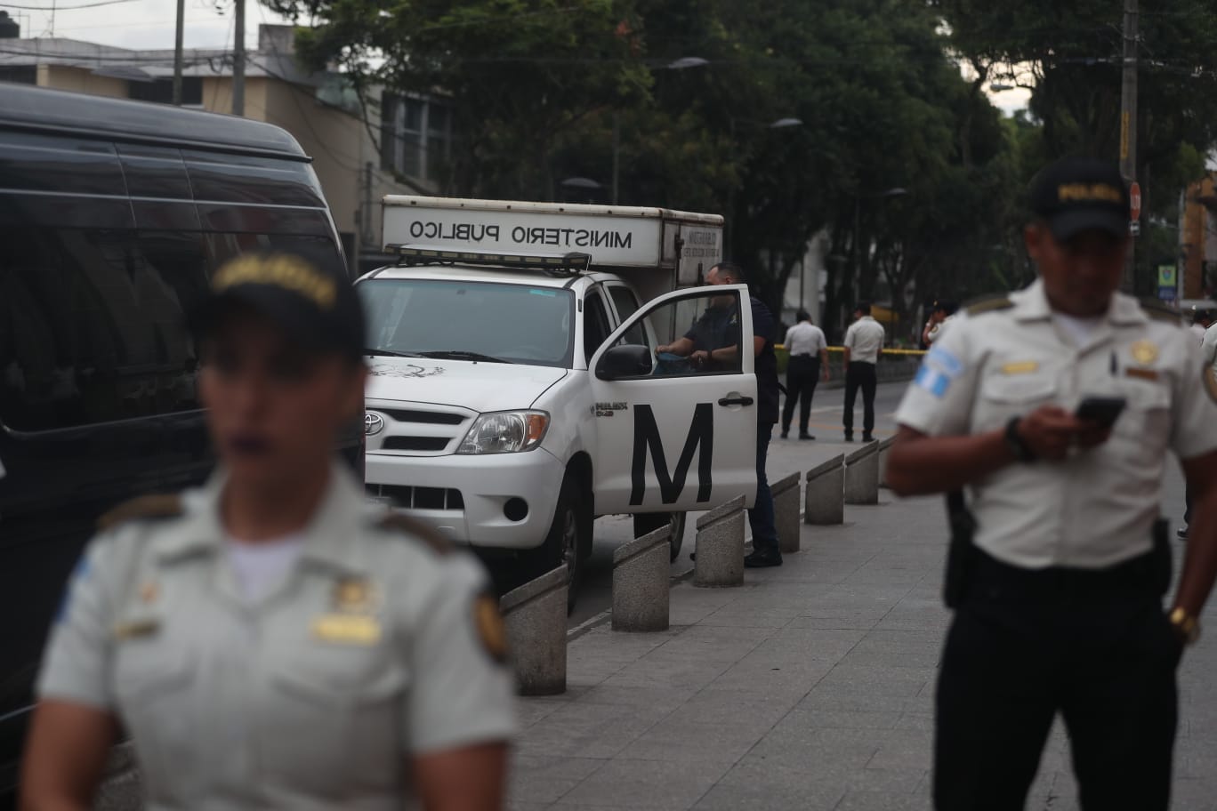 CATEOS EN EL TSE